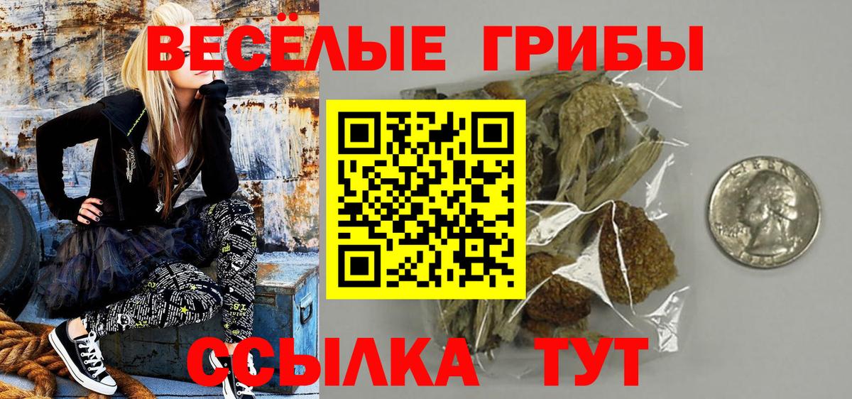 Галлюциногенные грибы Psilocybine cubensis Новоуральск